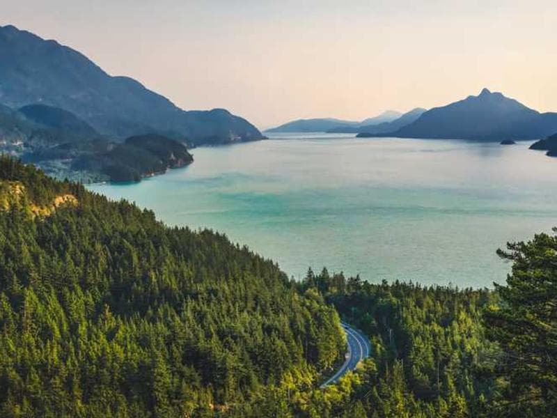 Best Eraser Tattoo in Atlanta: Top 5 Laser Specialists (2026 Guide)